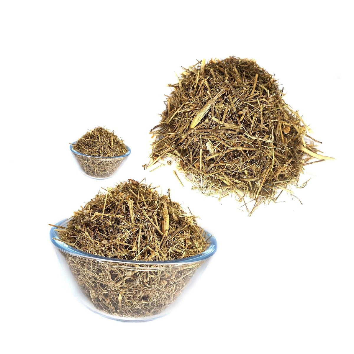 Alhagi maurorum خارشتر