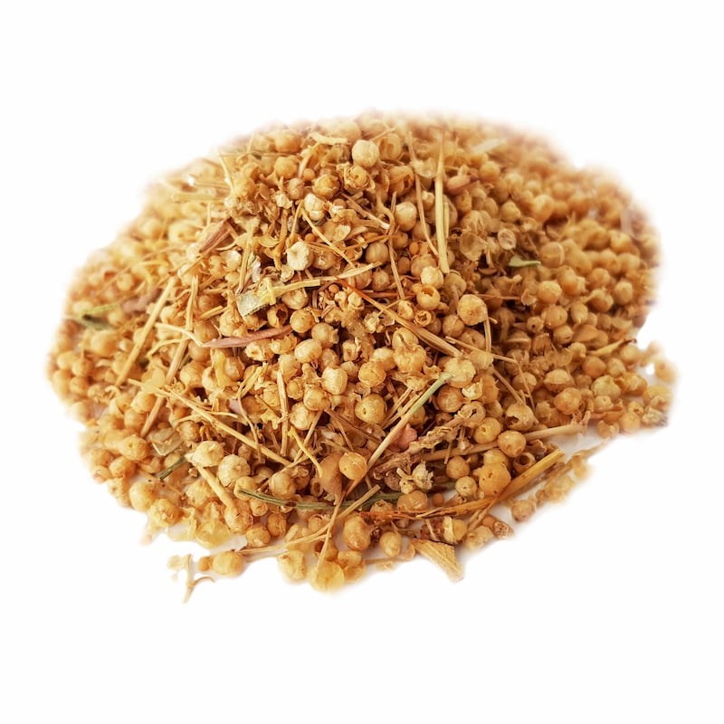 افتیمون (Cuscuta epithymum