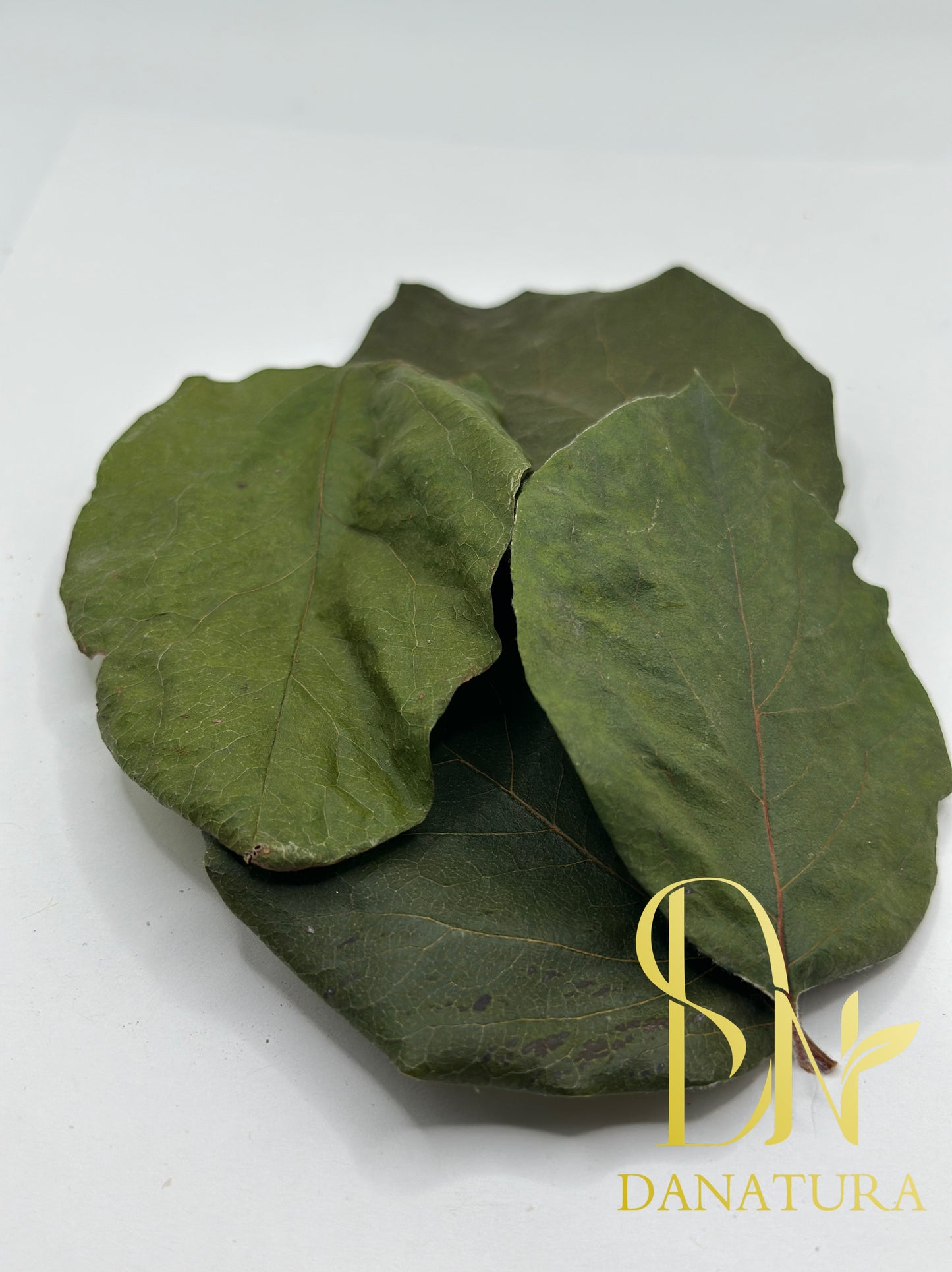 Quince Dried Leaves برگ به