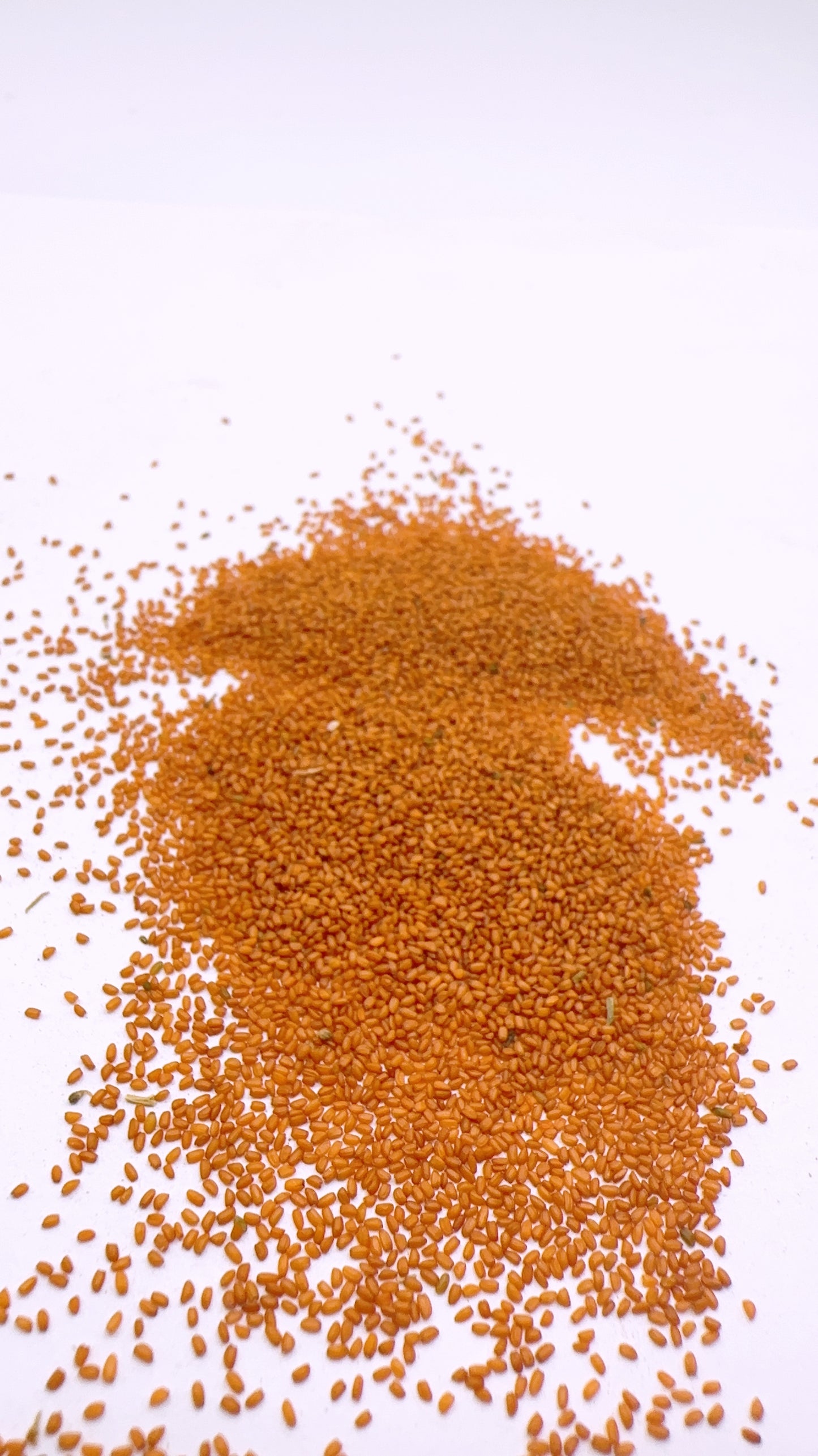 filxweeds seed(خاکشیر)