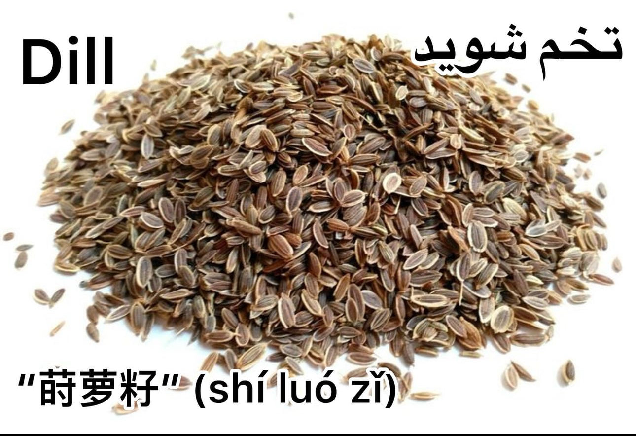 Dill seed تخم شوید ایرانی