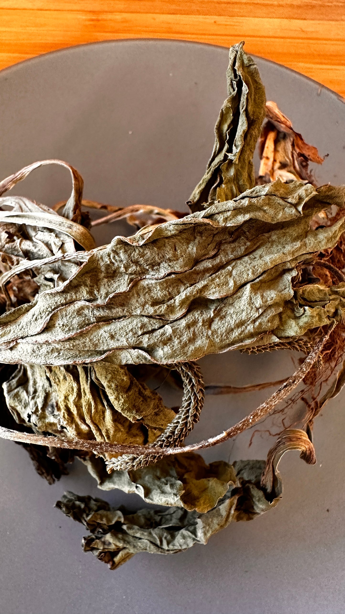 Plantain leaves برگ و ریشه بارهنگ