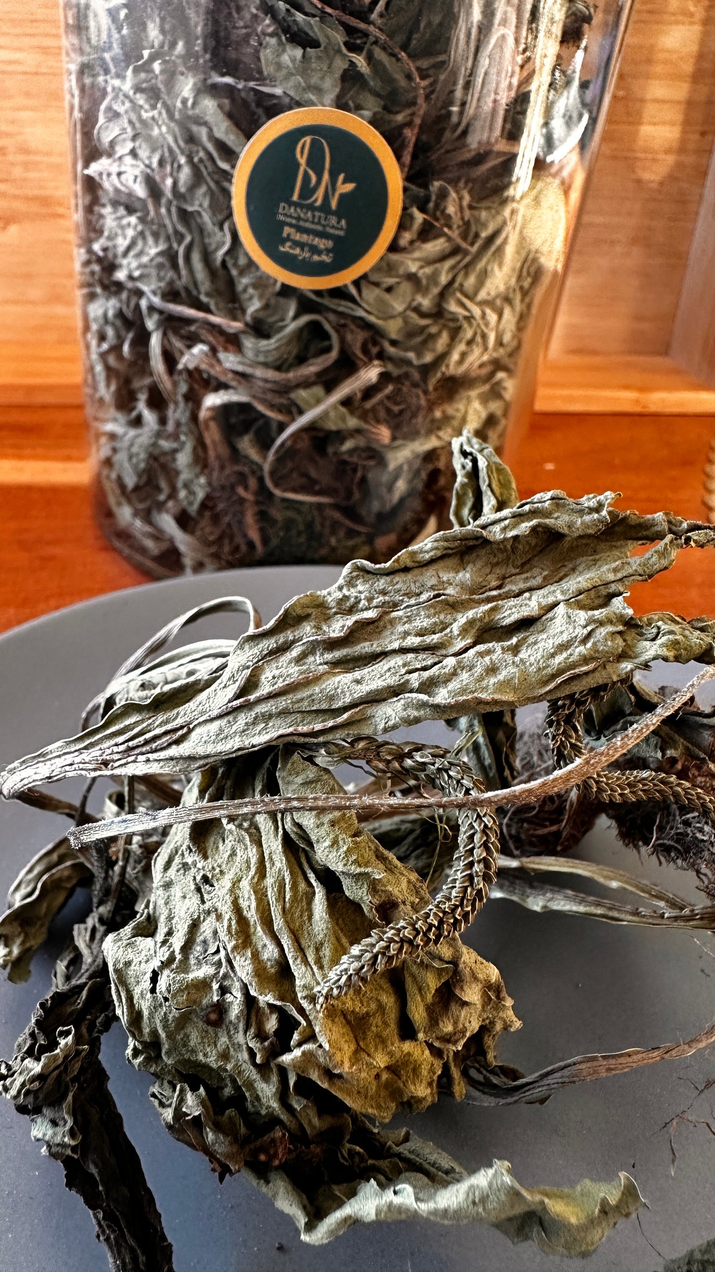 Plantain leaves برگ و ریشه بارهنگ