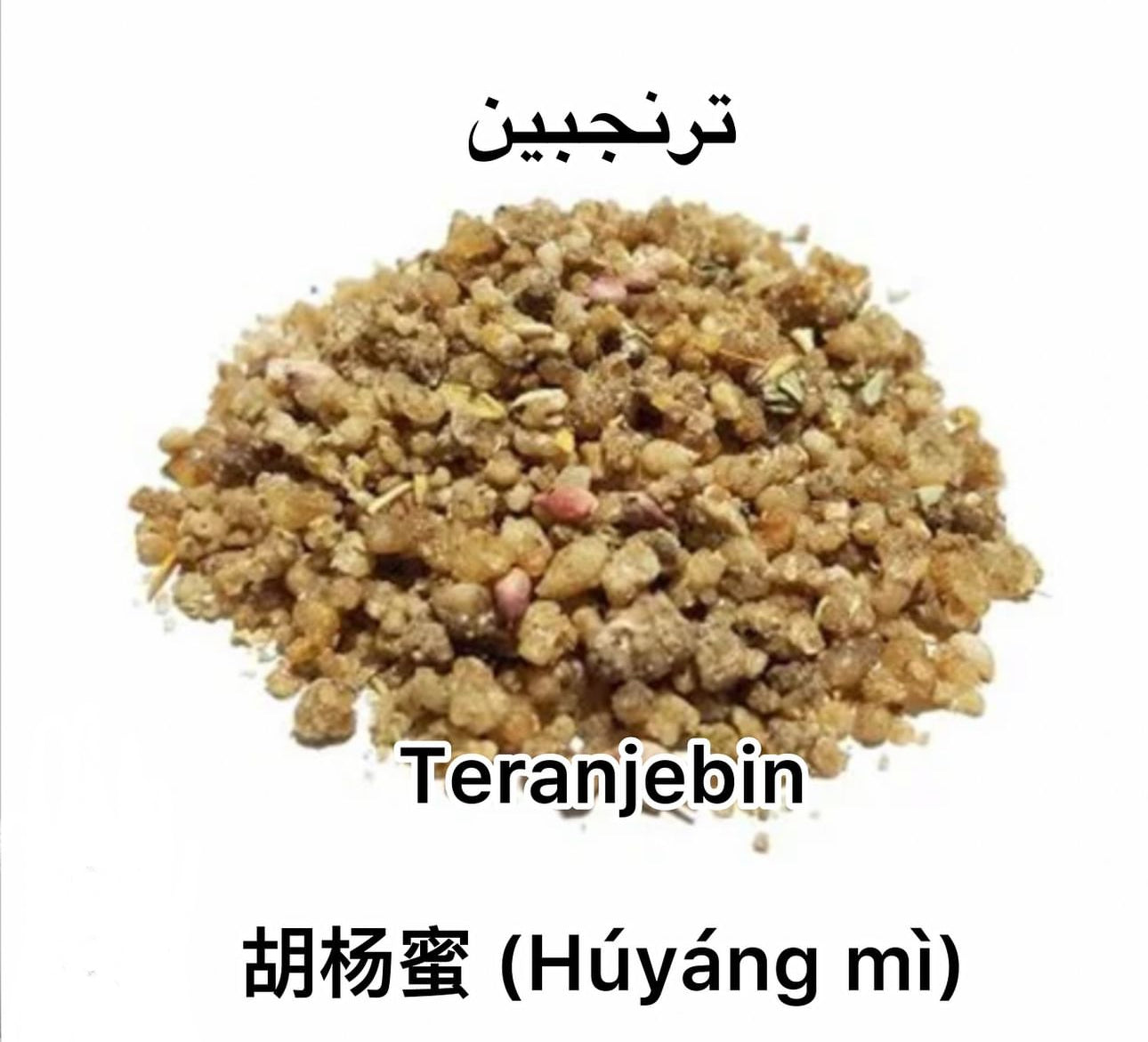 Teranjebin ترنجبین