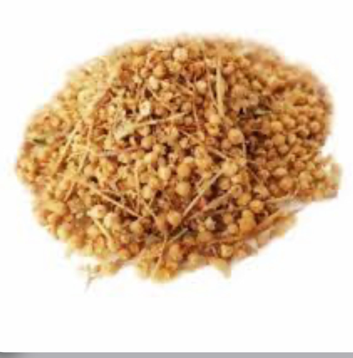 Cuscuta Epithymumافتیمون