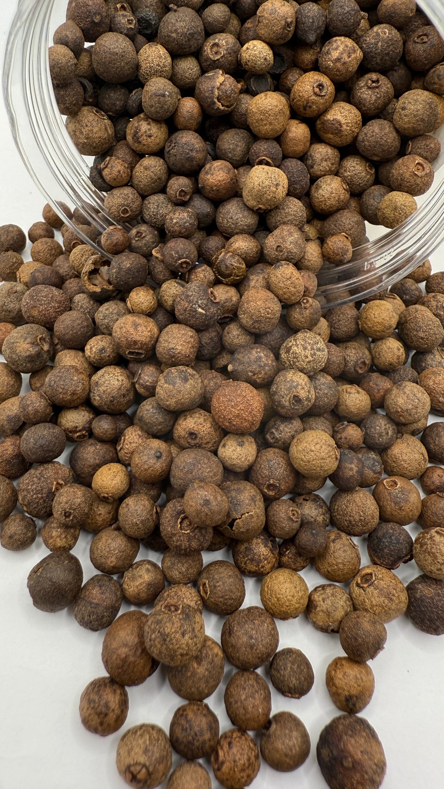 ALLSPICE WHOLE فلفل دلمه ای دان