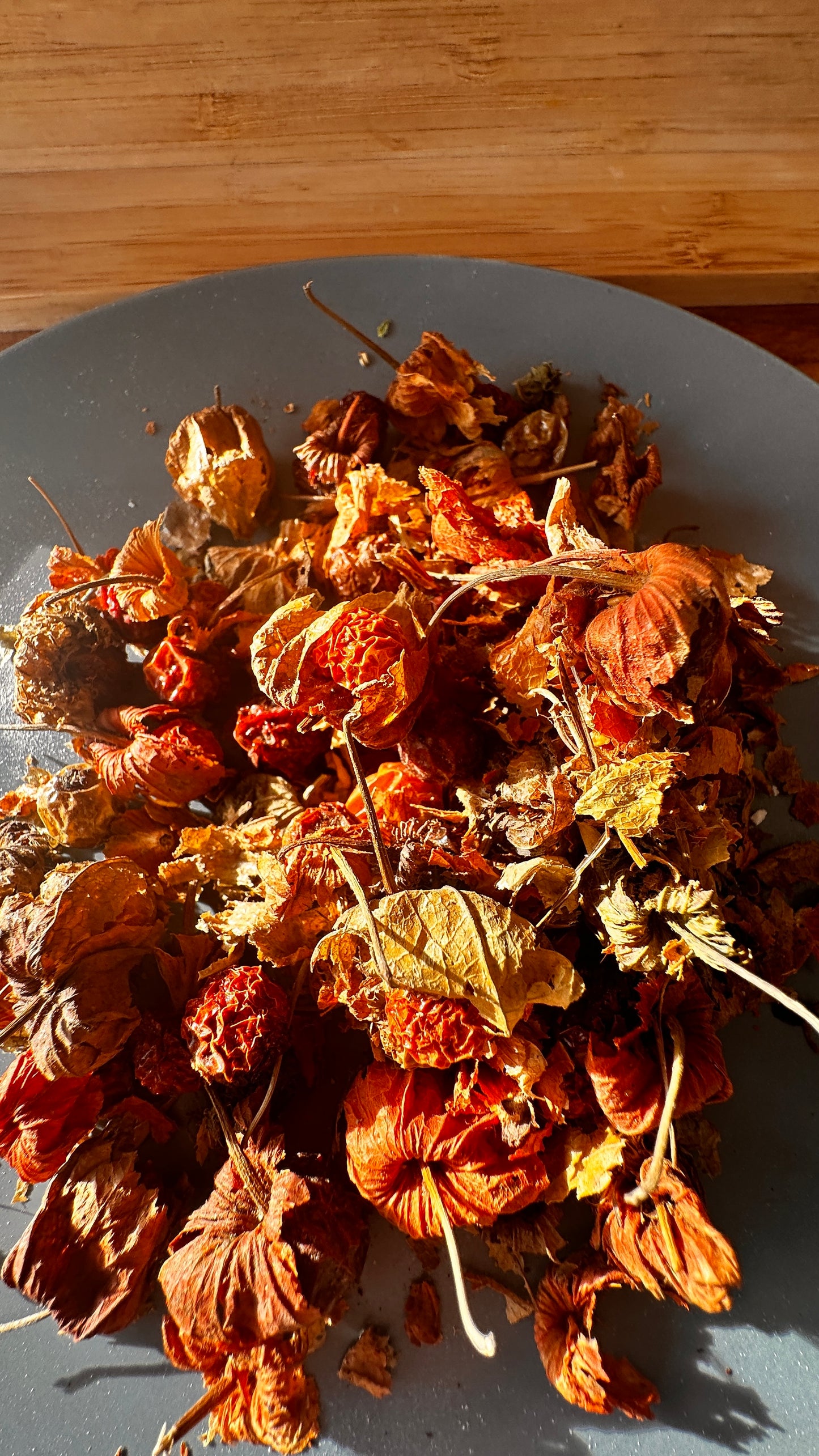 physialis عروسک پشت پرده(کاکنج)