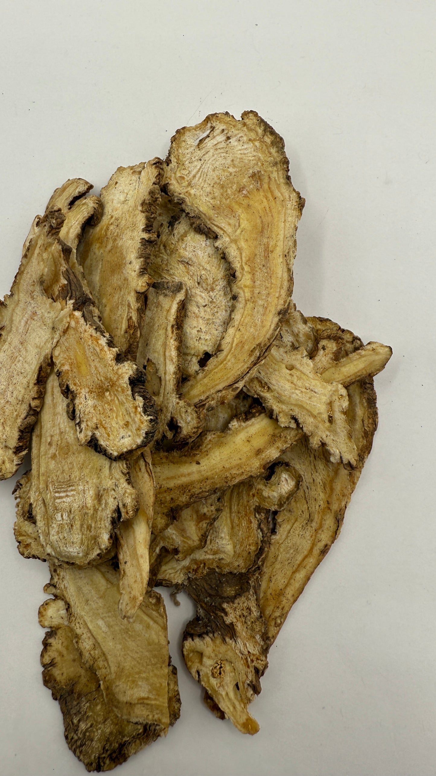 آنجلیکا-ریشه فرشتهAngelic a_ Dong Gui