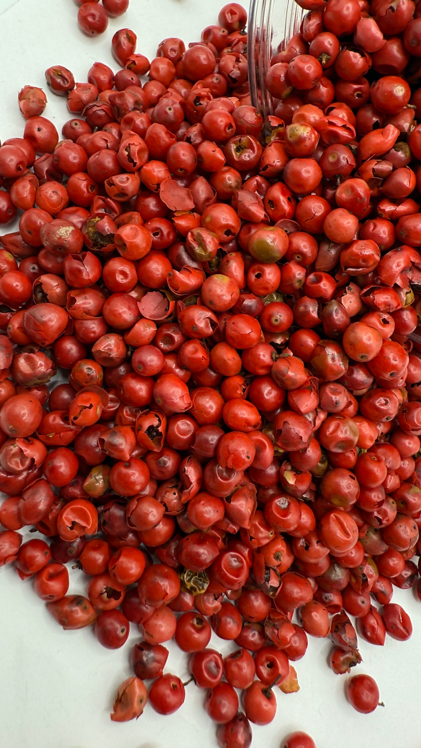 pink pepper فلفل صورتی