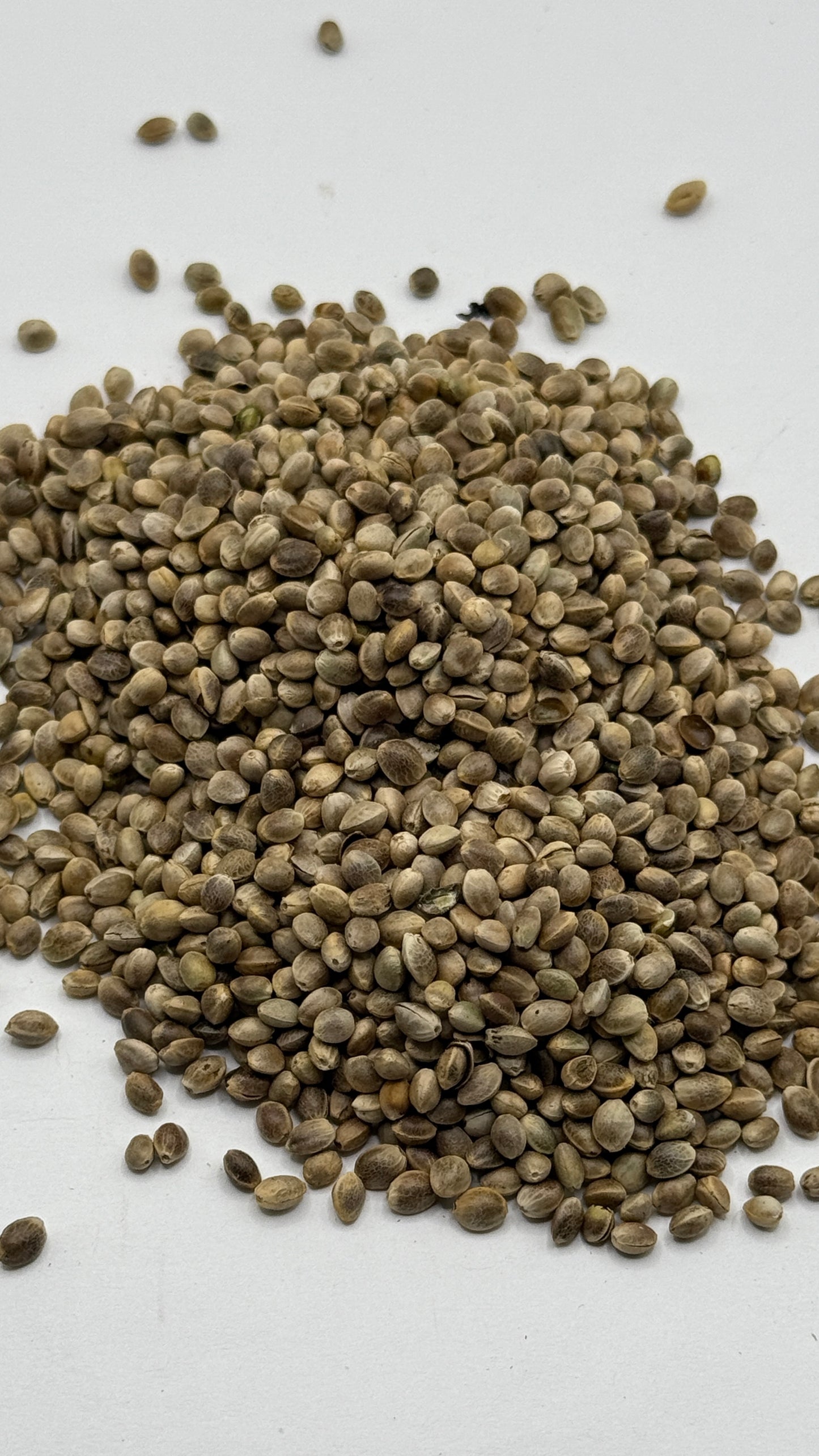 شاه دانه بو داده (بی نمک)Toasted Hemp seeds