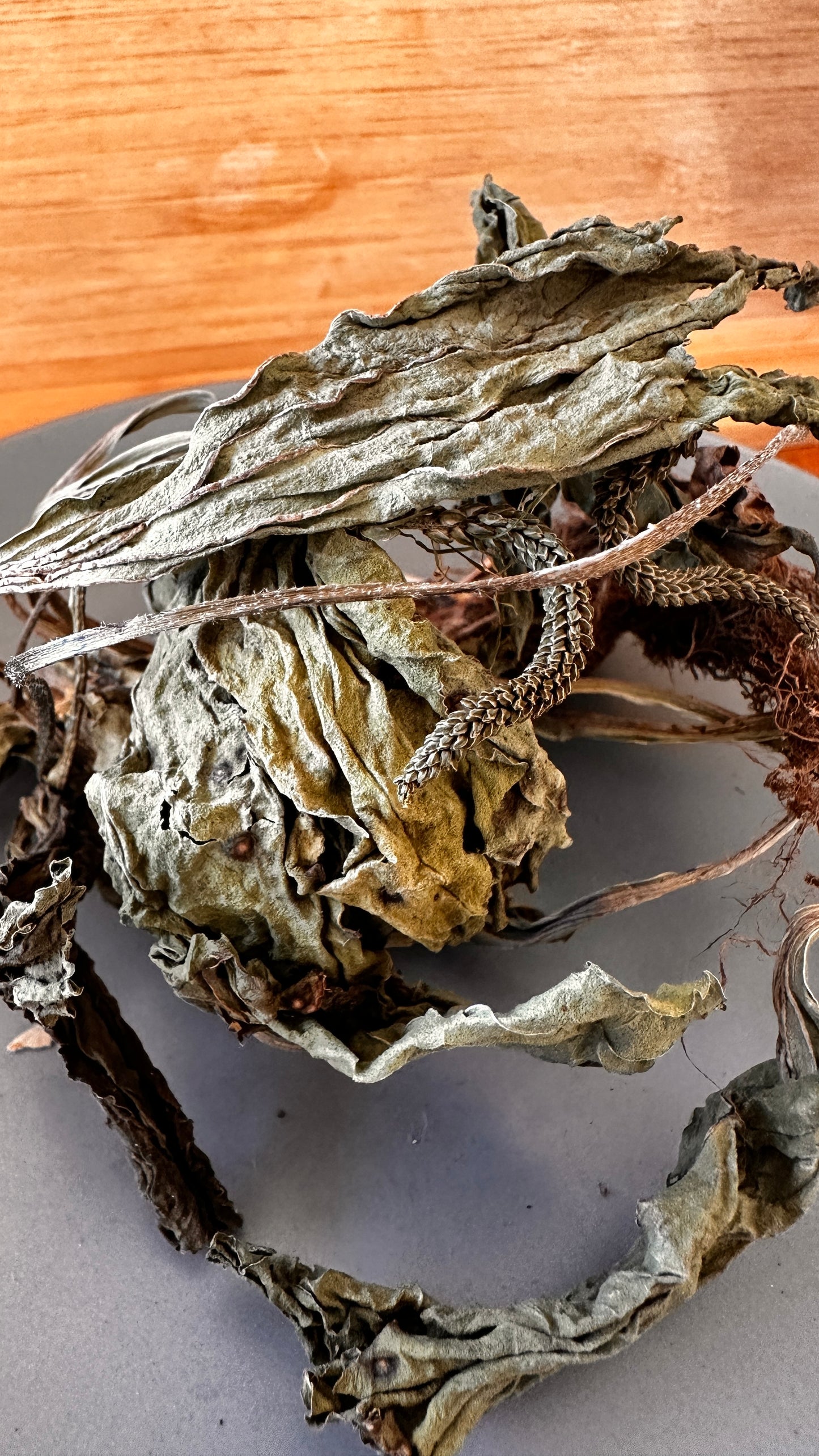 Plantain leaves برگ و ریشه بارهنگ