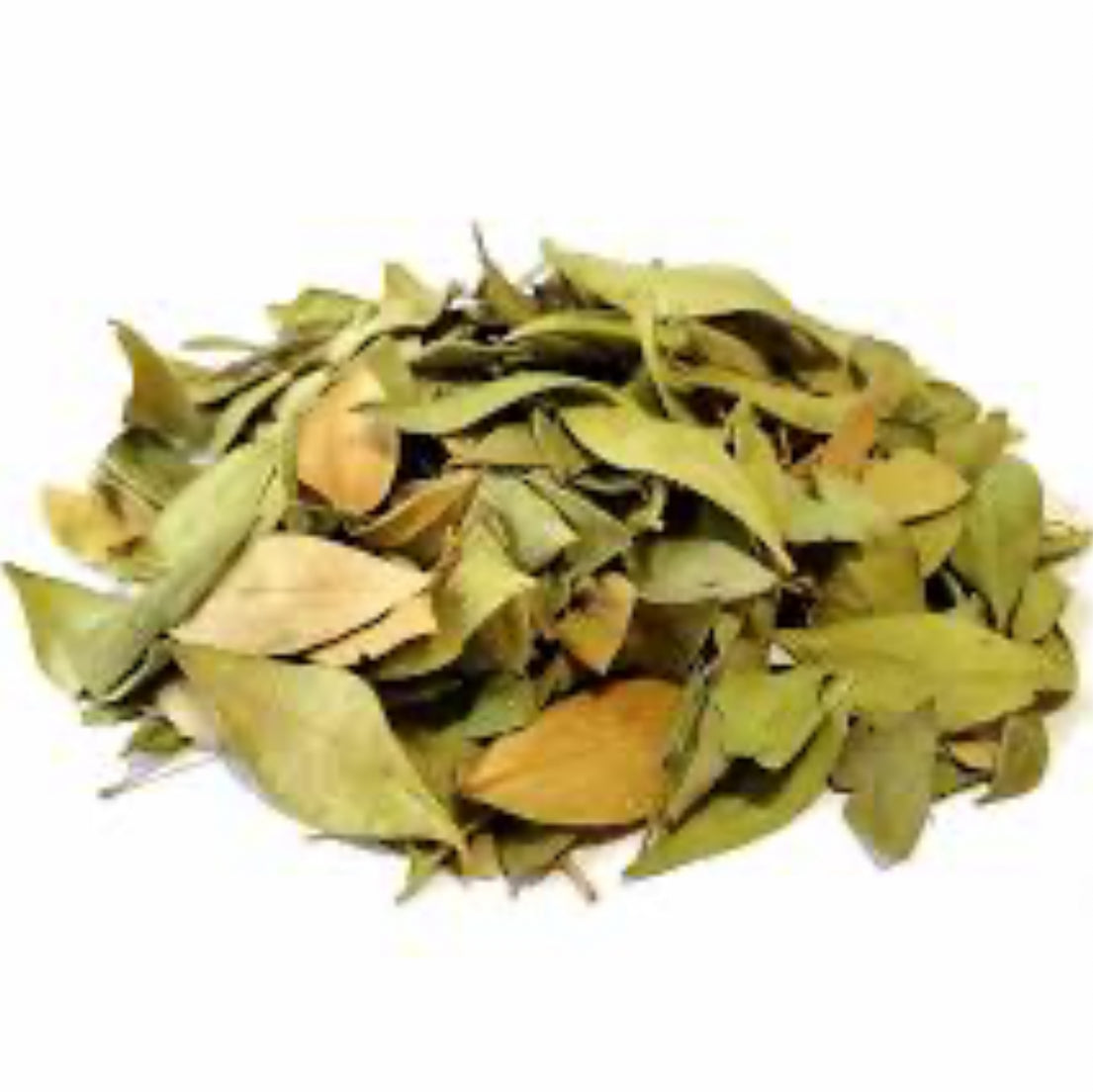 Myrtle leaves (Myrtus communis) برگ مورد