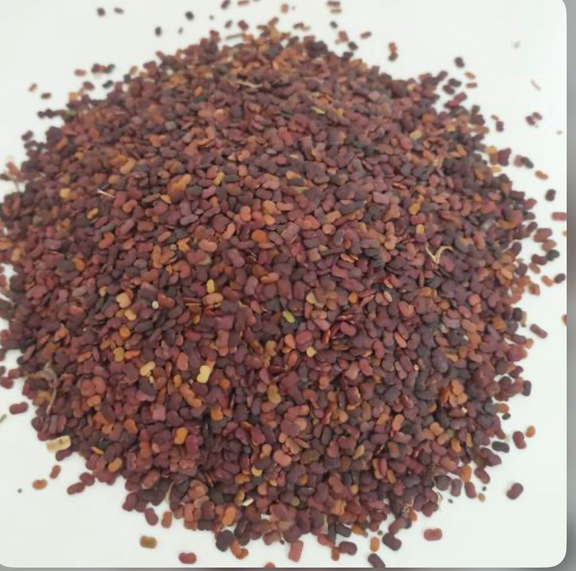 Securigera securidaca() عدس الملک .عدس تلخ،بن تله