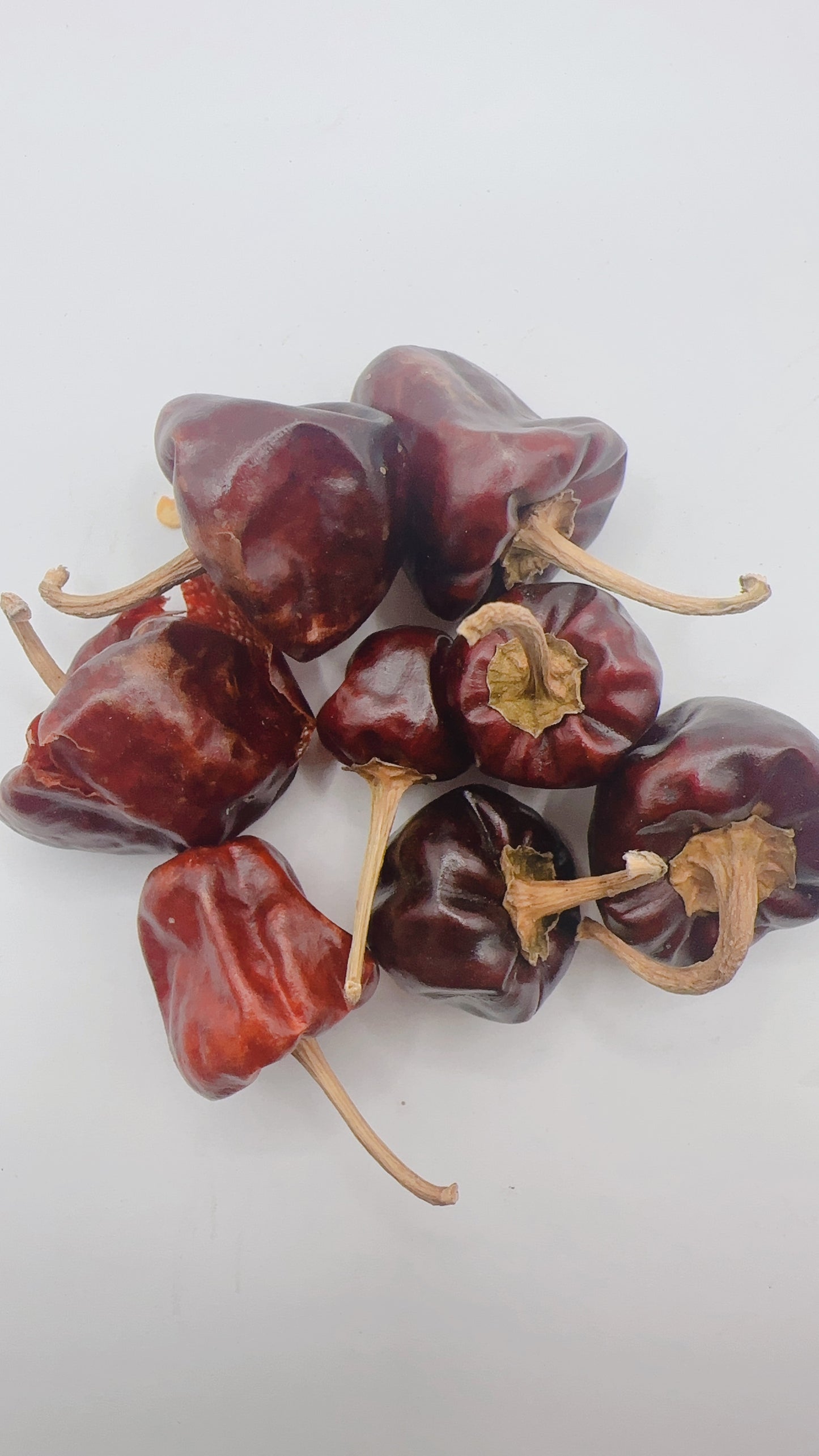 Dried Red Chilies فلفل قرمز چیلی