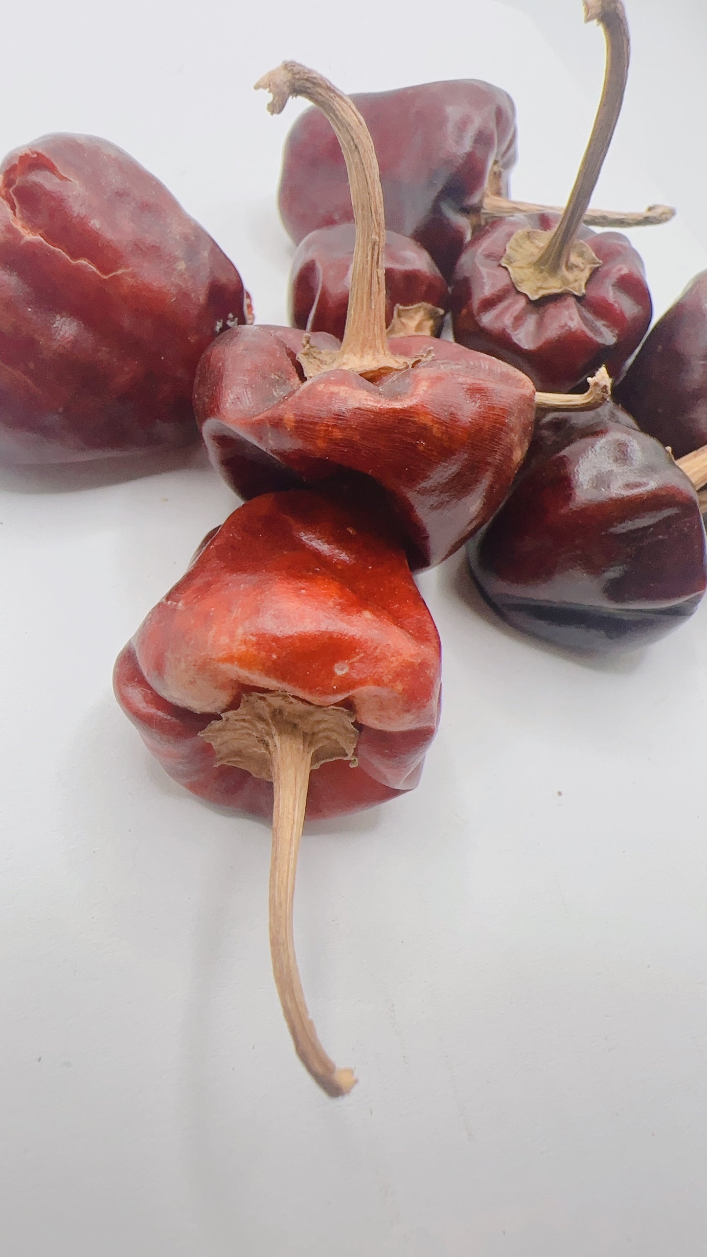 Dried Red Chilies فلفل قرمز چیلی