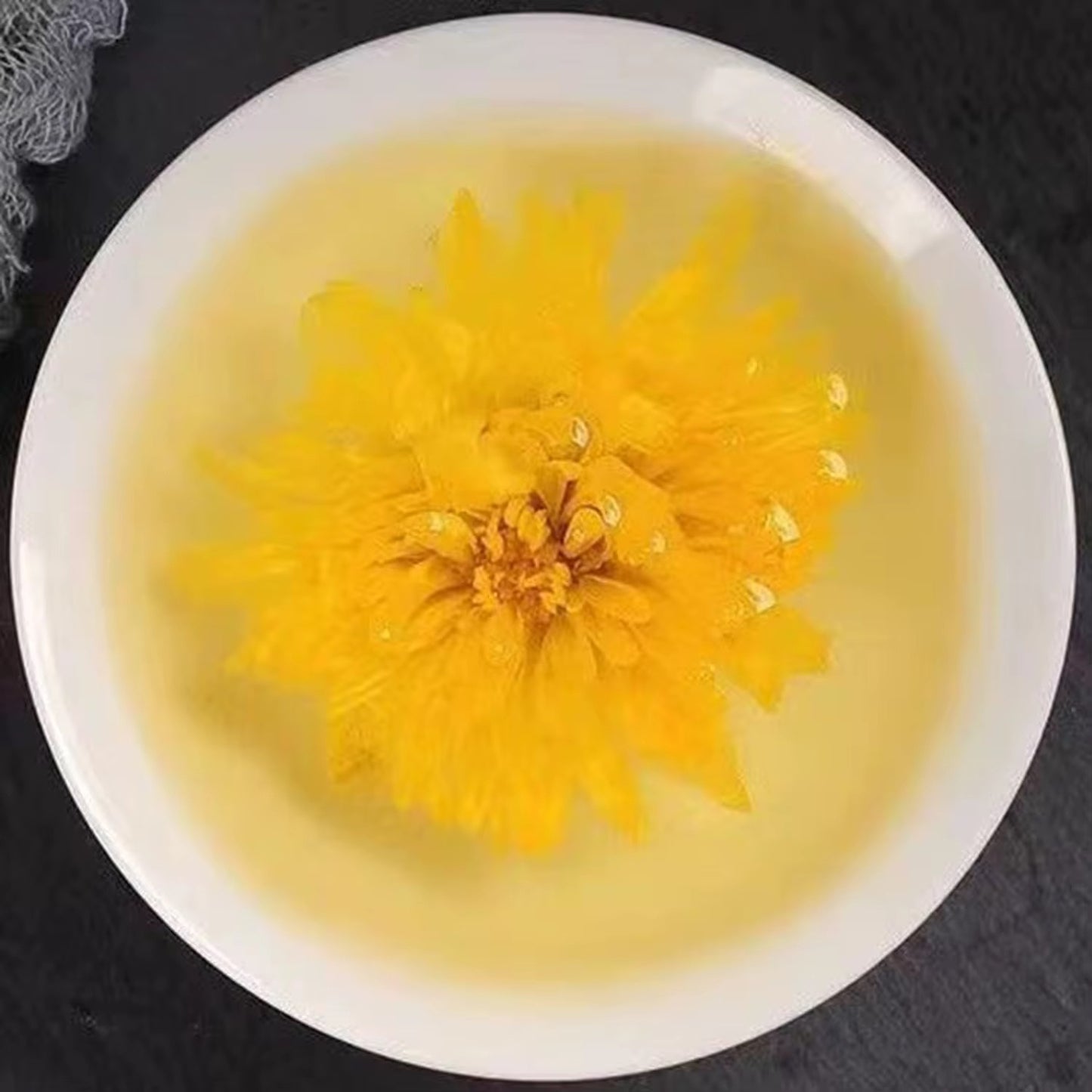 Chrysanthemum flowers گل داودی