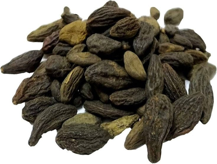 Terminalia chebula هلیله سیاه