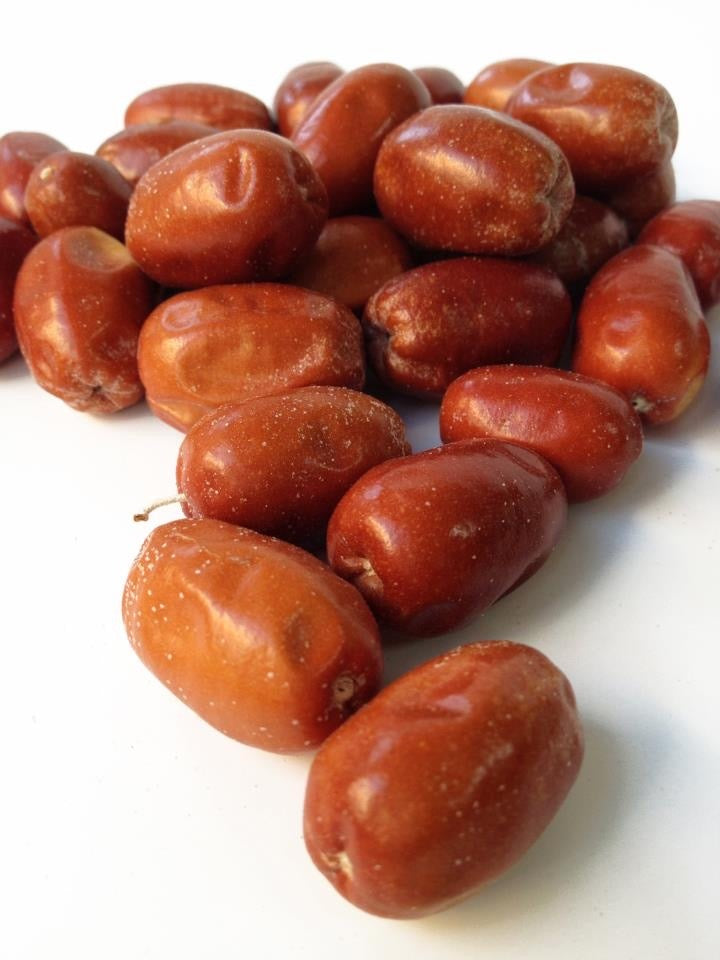 Senjed (Elaeagnus angustifolia) powder پودر سنجد. با هسته