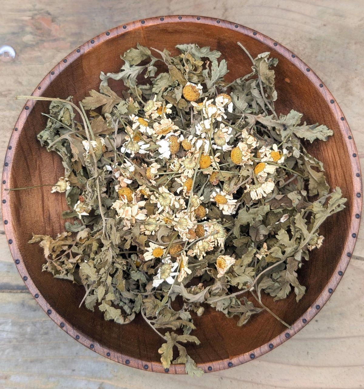 Feverfew. بابونه گاوی