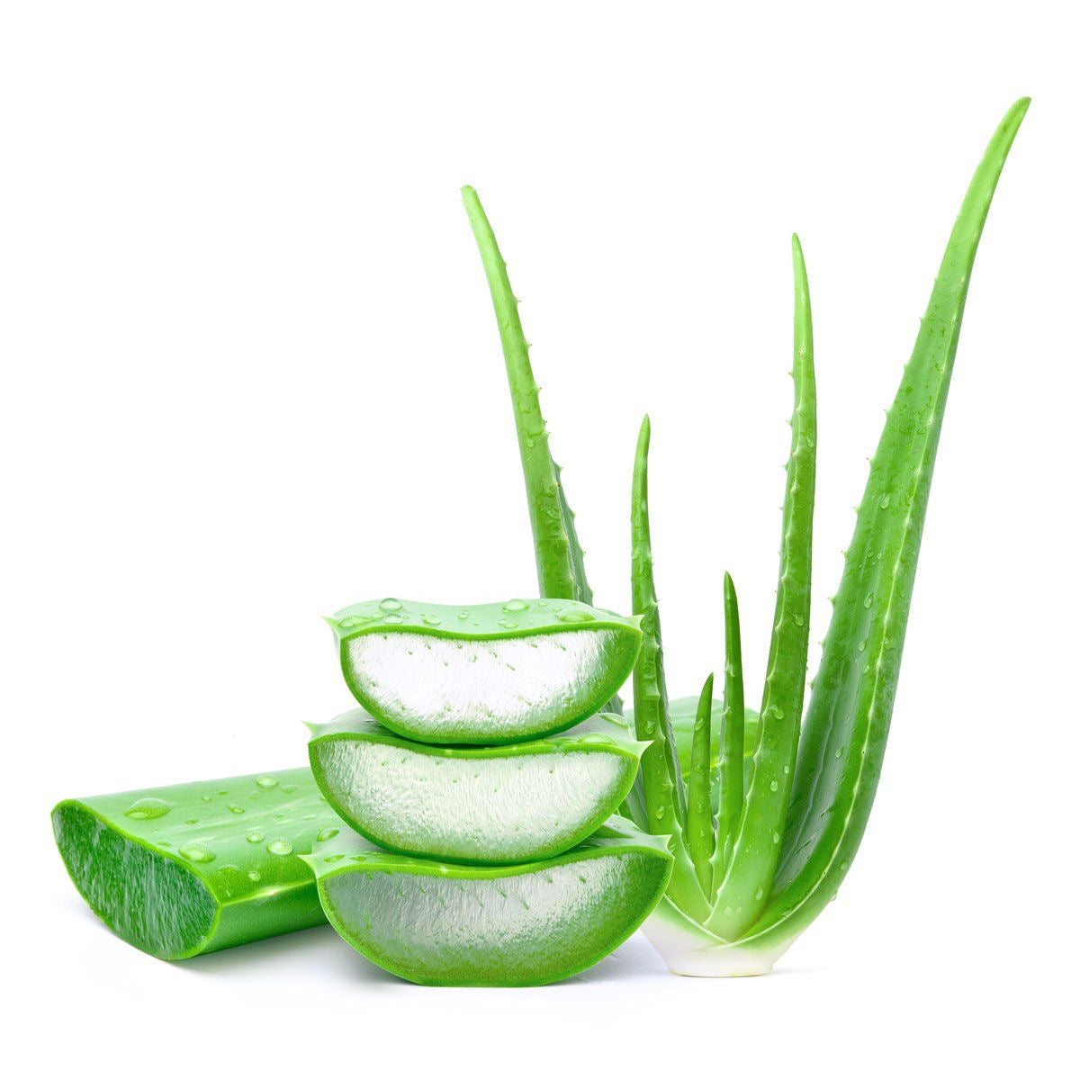 Aloe vera extract صبر زرد