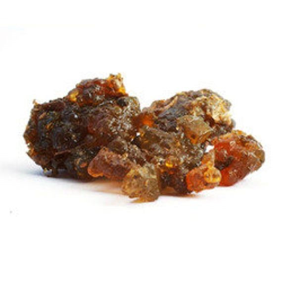 Commiphora mukulمقل ازرق