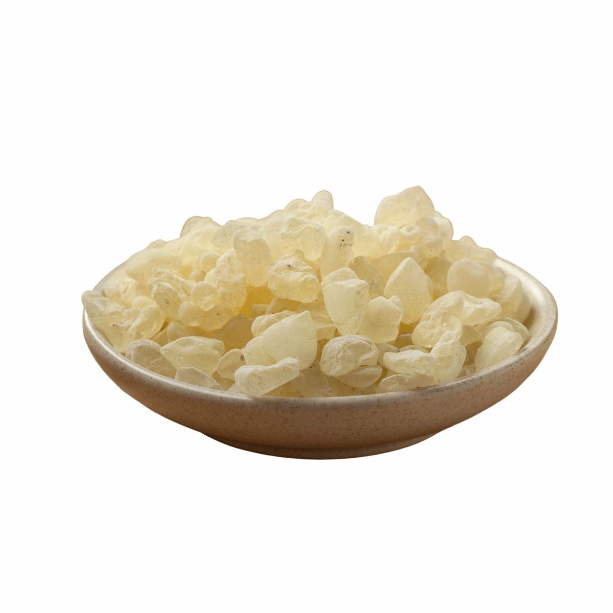 mastic gum مصطکی
