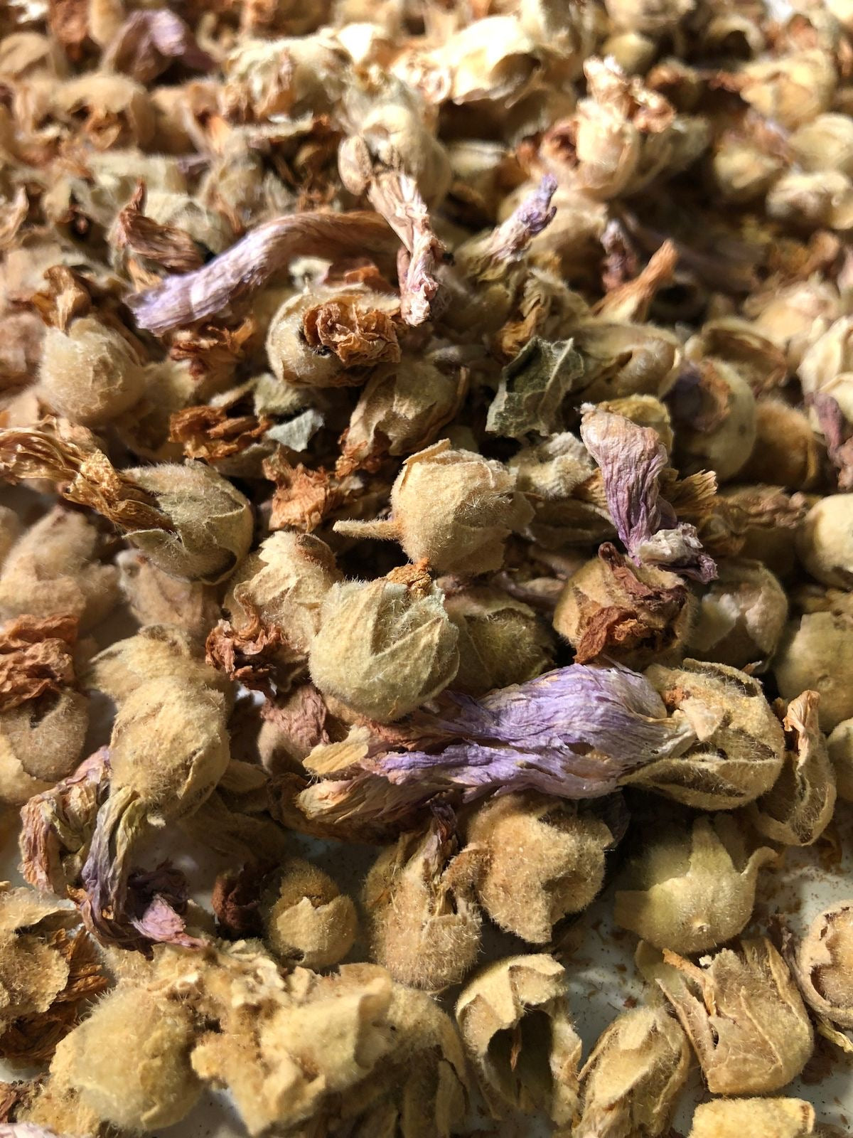 Althaea officinalis – Premium Herbal Supplement for Digestive and Respiratory Health - گل ختمی سفید