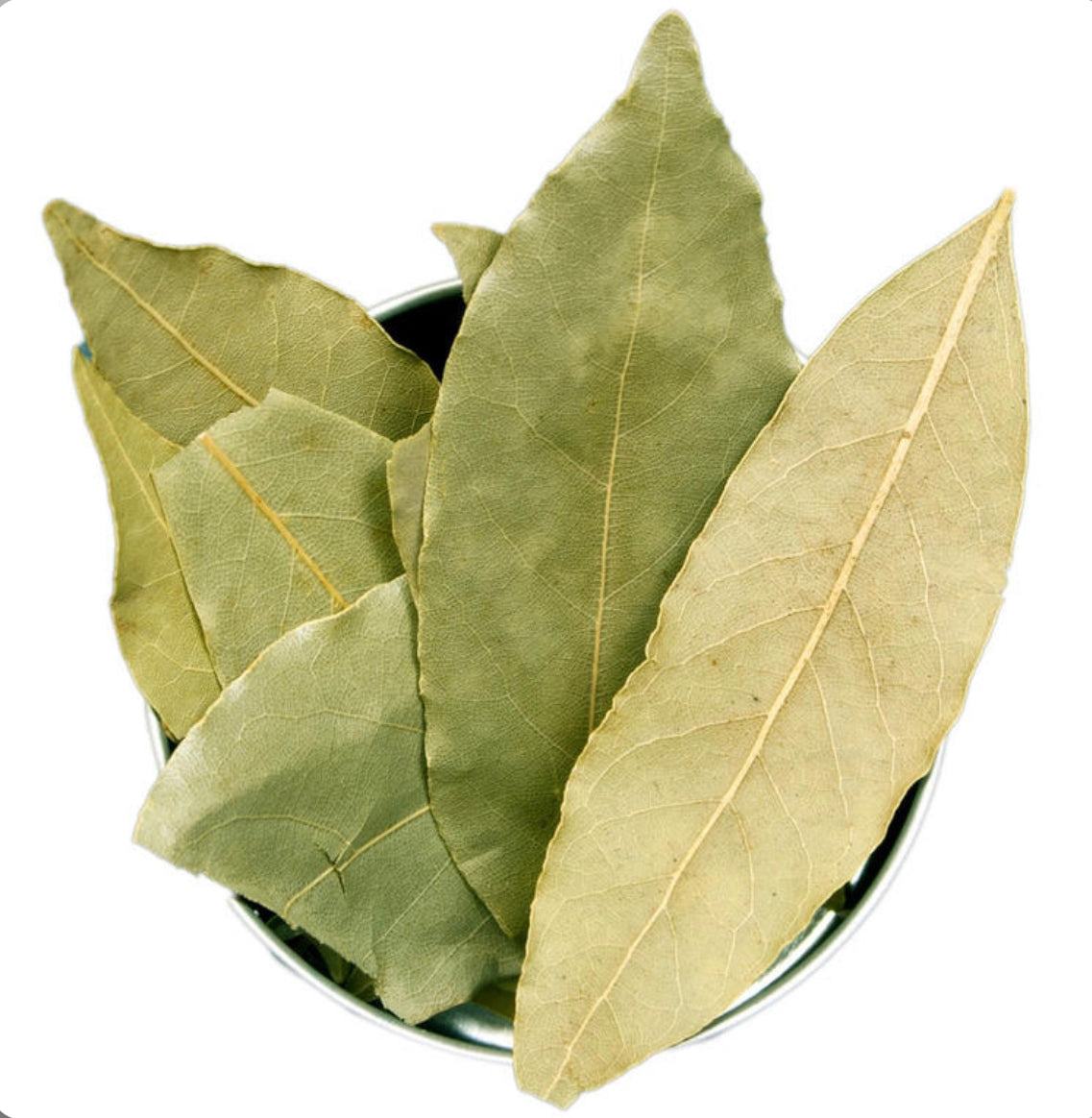 برگ بو Lauraceae