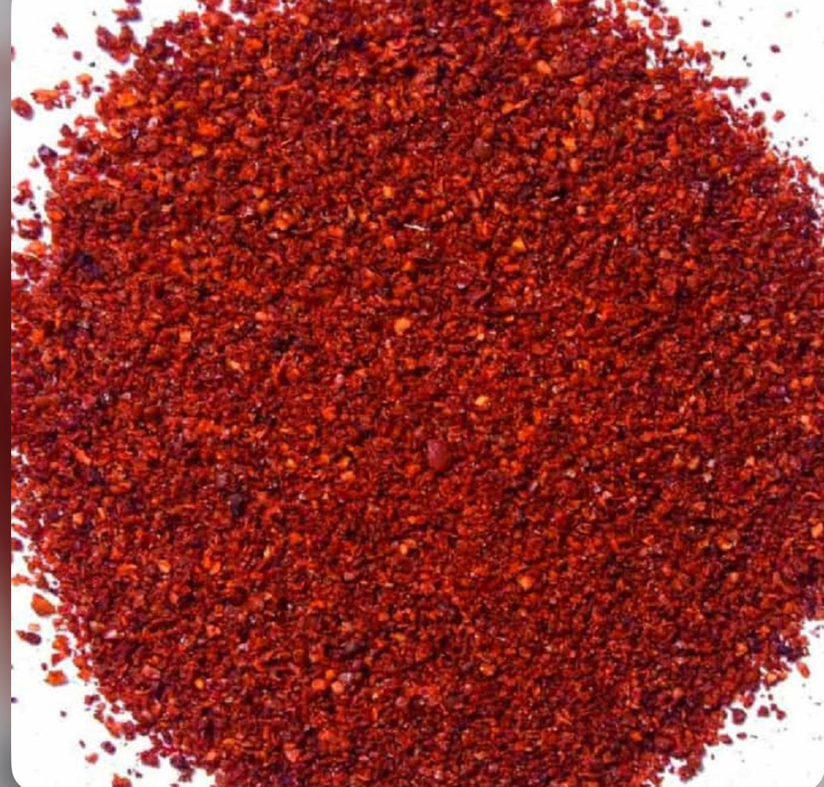 sumac سماق قرمز