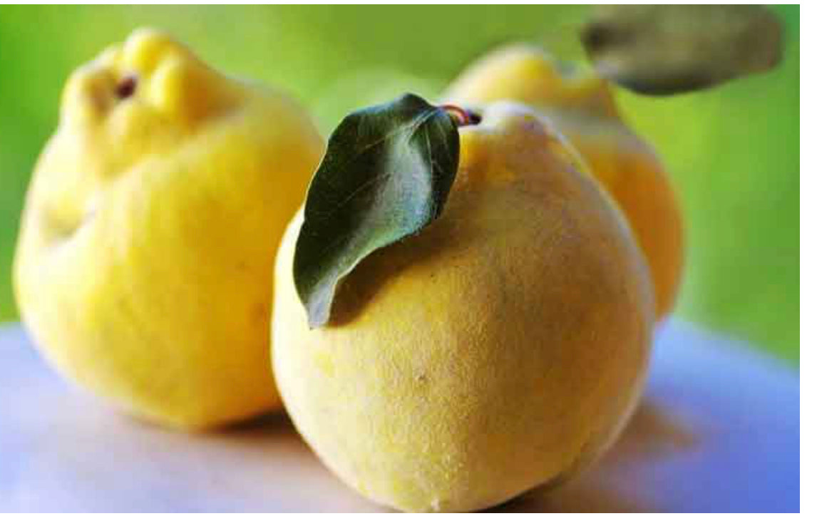 Quince tea چای به