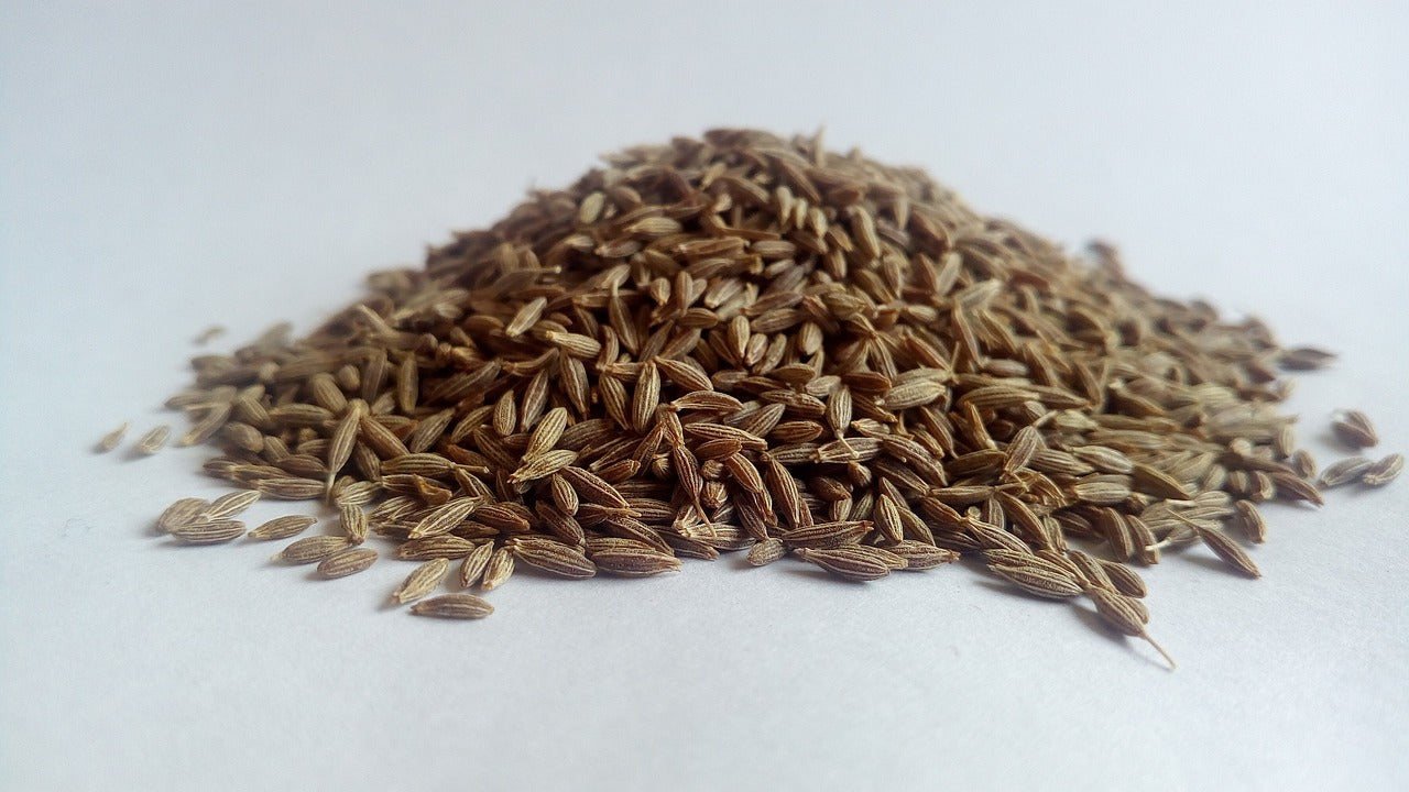 green cumin زیره سبز