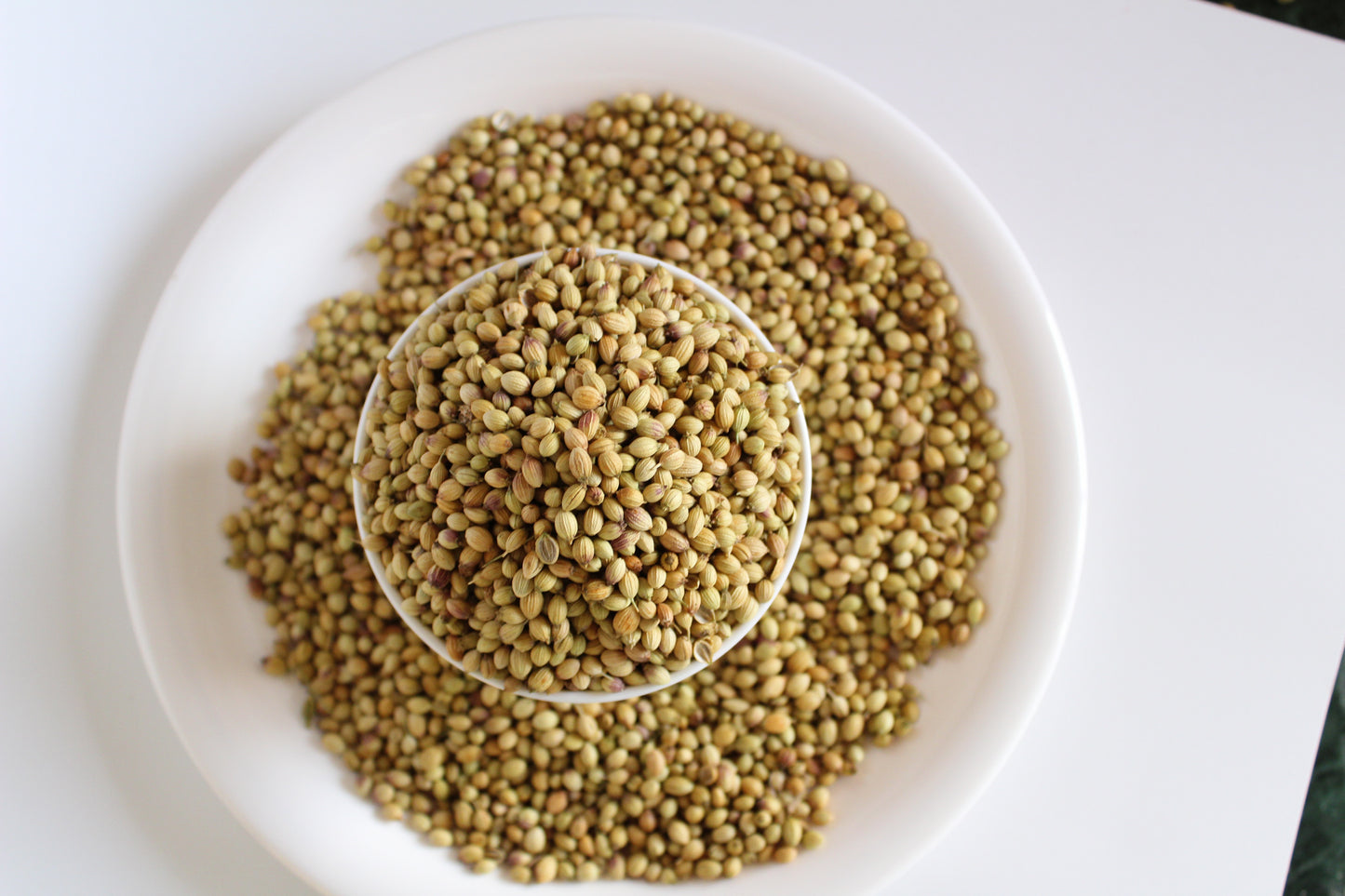 coriander seeds تخم گشنیز