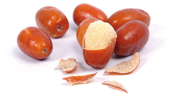 Natural Oleaster سنجد