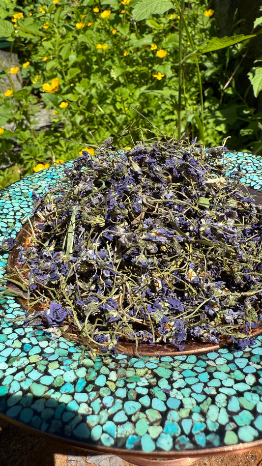 Sweet Violet گل بنفشه