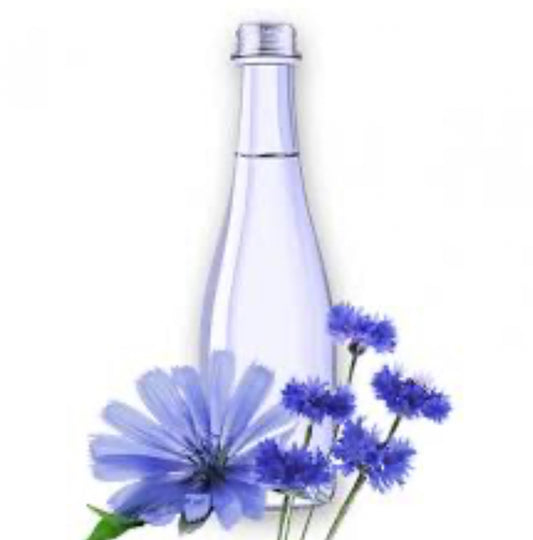 “Chicory Water(عرق کاسنی)