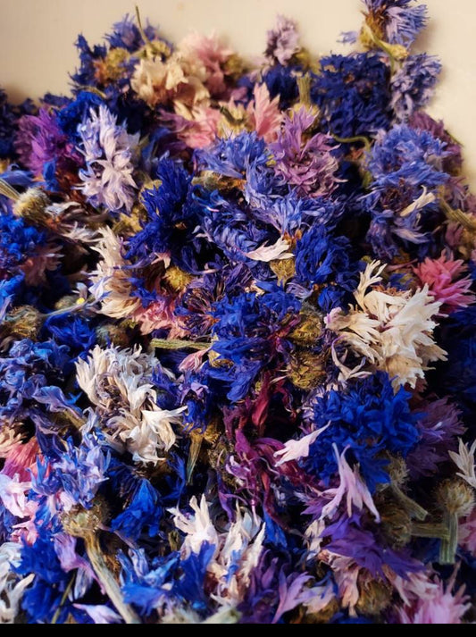 Cornflower گل گندم