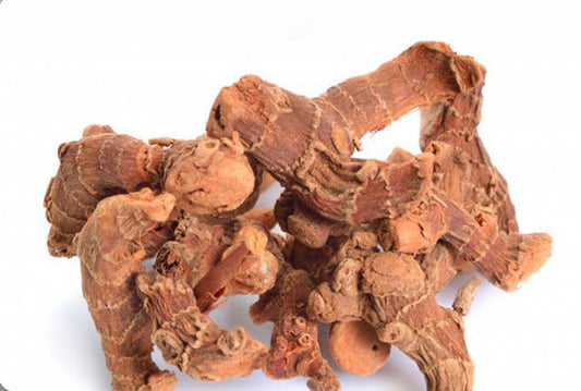 خولنجانgalangal benefits