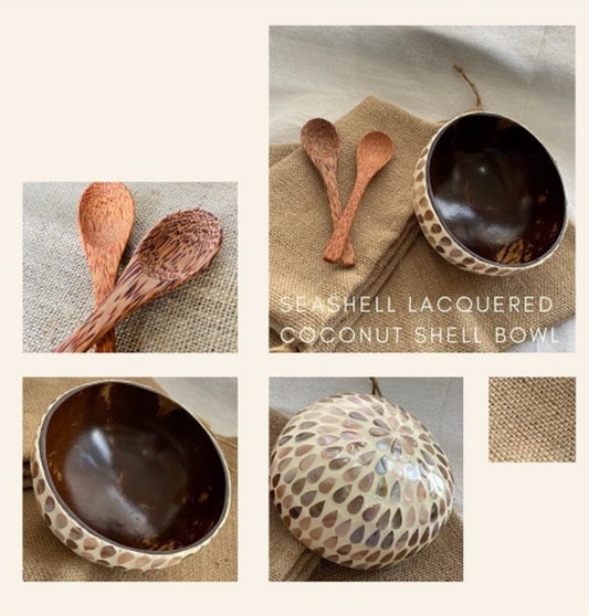 Coconut Shell Bowl